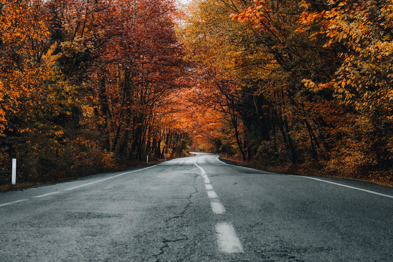 Rejestrowanie obrazu jako wsparcie w codziennej jeździe